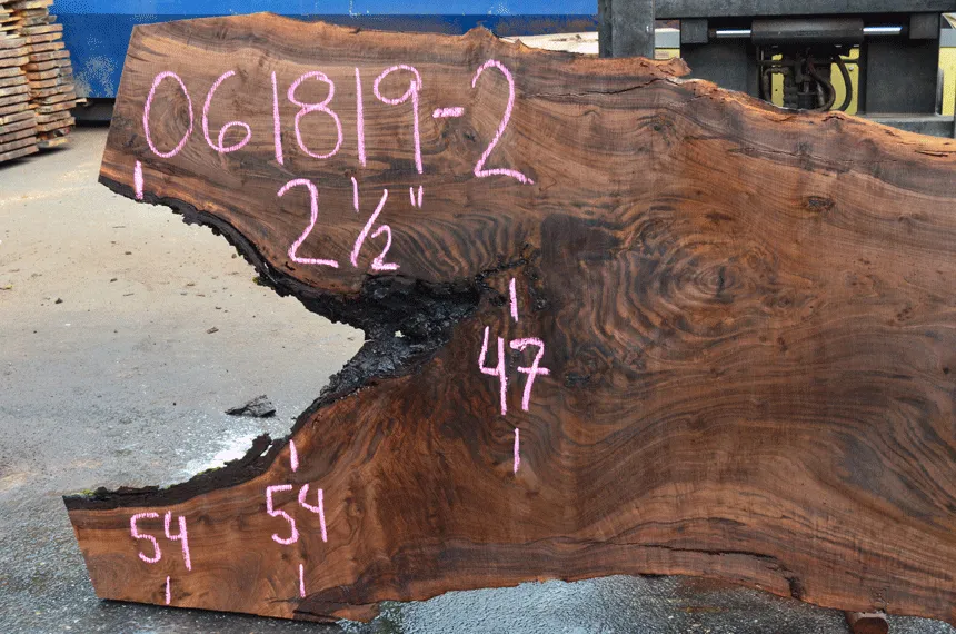 061819-02 Oregon Black Walnut Slab