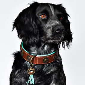 Dog with a Mission Urban Collar Brown with Turquoise