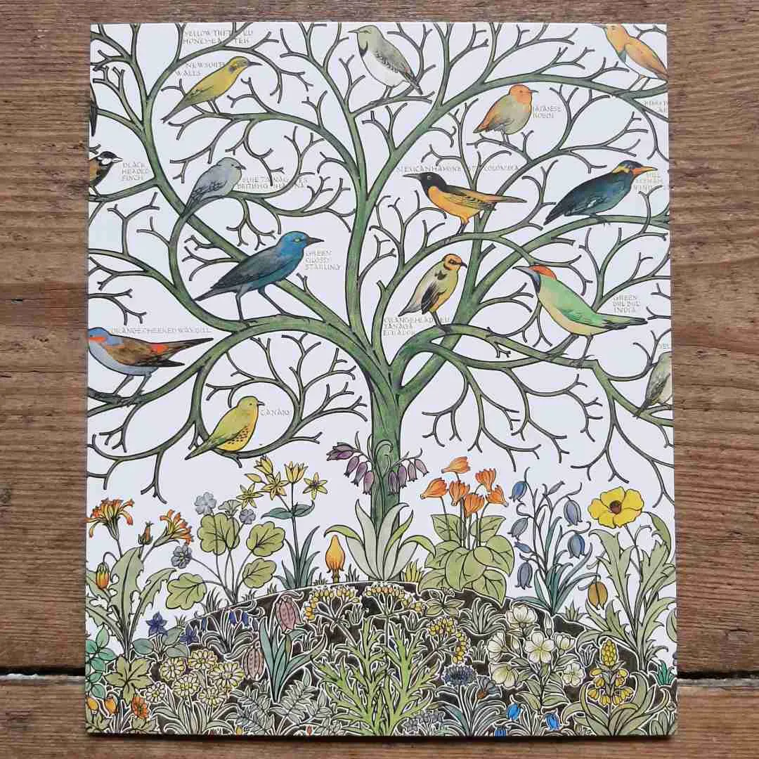 Greeting Card - Birds of Many Climes