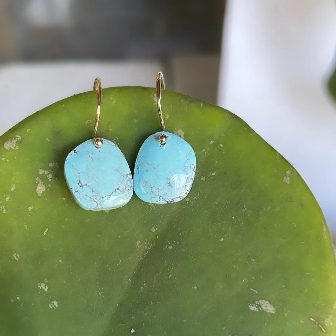 Petite smooth turquoise earrings